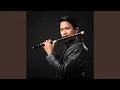 Ainul Mardhiah (Instrumental)