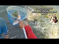 Download Lagu yang punya tambak ulang tahun ikan segede bantal dikasih semua🤲