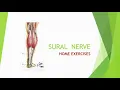 Sural nerve self management The Lord Of The Nerves online course
