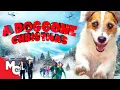 Download A Doggone Christmas | 2016 Family Christmas Movie mp4 3gp mp3 videos - waplic