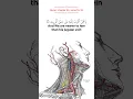 Download Lagu Surat Qaf (verse 16-18) recited by Minshawi  #quran #islam