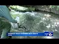 Rainbow Trout Stocking Schedule