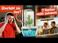 Download Lagu Hydro-Experiment: 2 Wochen Urlaub \u0026 keine Pflege – kann das funktionieren?