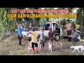 Download Lagu BANTUAN DARI PEMBURU PROFESIONAL..!! USIR DAN KURANGI HAMA DIKEBUN