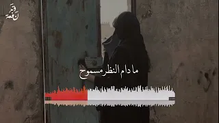 اشوفك كل يوم واروح عود وايقاع رايقه نغمة وتر 2021 