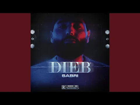 Download MP3 Dieb