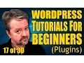 WordPress Tutorial For Beginners 17 of 30 How To Use Plugins