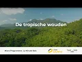 Lagu Time Hout S2#07  De tropische wouden