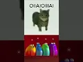 OIIAIOIIIAI (spinning cat meme) - Blob Opera