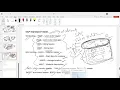 SAP ABAP TUTORIAL 2026 SAP Standard Tables Explained Module Wise Tables ABAP Tutorial 2026