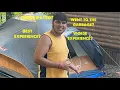 Yogi Bear Quarryville Experience Yet