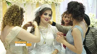 تلبيس الذهب عرس اكراد عفرين في حلب                         دندنها