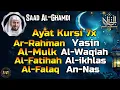 Beautiful Quran Recitation | Ayat Al-kursi, Ar-rahman, Yasin, Al Mulk, Al-Waqiah, Al Fatihah, Ikhlas