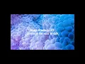 Smart contract development with TokenSPICE Brownie