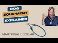 Choosing the Right Collar The Martingale Collar for Dog Safety and Comfort
