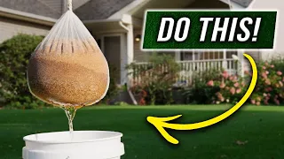 The FASTEST way to Grow Grass Seed