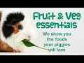 WHAT FRUITS VEGETABLES CAN GUINEA PIGS EAT Guinea Pig FOOD Guinea Pig DIET