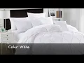 CHIC HOME HANNAH COMFORTER SET PINCH PLEATED RUFFLED BED IN A BAG BEDDING