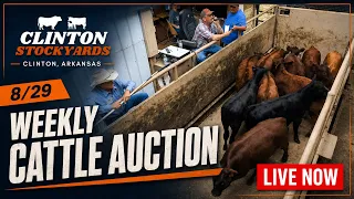 Clinton Stockyards Weekly Saturday All-Class Cattle Sale 26