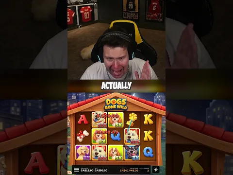 Winning The Whole Bonus HUNT Back...