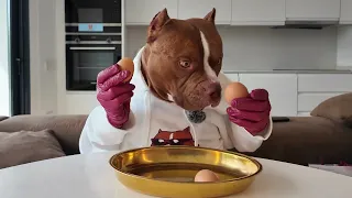 3 Eggs, Only 1 Real