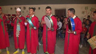 نجوم تيسة لفن الغيطة ربيحو دندنها