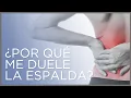 Lagu ¿Por qué me duele la espalda? | Causas, síntomas y tratamientos del dolor de espalda