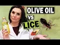 Removing Head Lice with Olive Oil Watch This BEFORE You Try