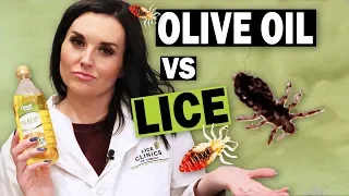 Removing Head Lice with Olive Oil Watch This BEFORE You Try