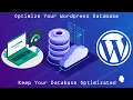How to Optimize Your WordPress Database with One Click Improved Site Performance