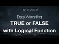 Data Wrangling Returning TRUE or FALSE with Logical Function