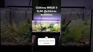 My first upgrade from low to high tech with the Chihiros WRGB II SLIM ChihirosAquaticStudio