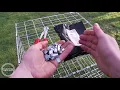 Download Lagu Large J-Clips Gabion Cage Assembly Forrest® JC-8 Clips \u0026 Pliers Wire mesh Clips Fencing Clips UK