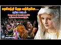 Download Lagu மடியேந்தி தேடிவந்தேனே | சோதனை மற்றும் நோய்களின்று மீள அன்னையிடம் கண்ணீர் மன்றாட்டு| இசைஞானி பாணியில்