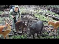 Download Lagu Tim Harrell - Swamp Trail Camera Pickup