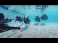Download Lagu How to Get Scuba Certified