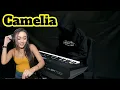 Download Lagu DJ Remix Camelia Cover Electone Full Bass