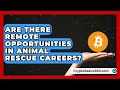 Are There Remote Opportunities in Animal Rescue Careers Animal Care Jobs