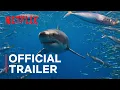Download Lagu All the Sharks | Official Trailer | Netflix