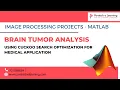 Brain Tumor Analysis using Cuckoo Search Optimization for Medical Application