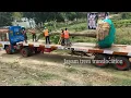 90 survival in Tree transplanting How to transplant Big trees In India Higway Tree transplant