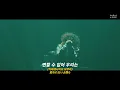 変われないよ僕ら🐾「Vaundy - しわあわせ ライブ」韓国語歌詞