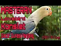 Download Lagu Suara Burung Lovebird Konslet Gacor Durasi Panjang | Masteran Lovebird Biar Konslet... MP3
