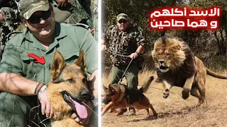    اسد عجوز جائع يأكل هذا الرجل و كلبته أحياء   الدقائق الاخيره المرعبه للحارس كوبوس وكلبته هاي  دندنها