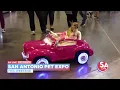 San Antonio Pet Expo
