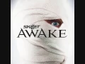 Download Lagu Believe- Skillet (lyrics) - Awake