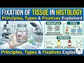 Fixation of Tissues in Histology Principles Types Fixatives Explained ParamedIQ