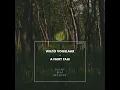 A Fairy Tale - Wilco Vogelaar