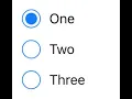 Java Swing - JPasswordField JRadioButton JSpinner
