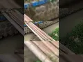 Hanya Enthul yang melihat jembatan ini.